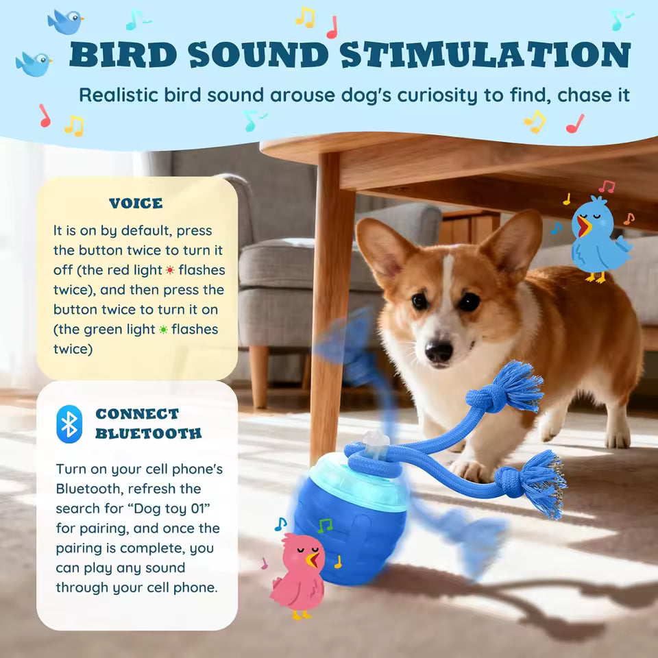 Automatic Toy Ball for Dogs