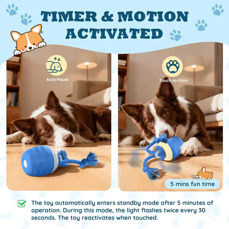Automatic Toy Ball for Dogs
