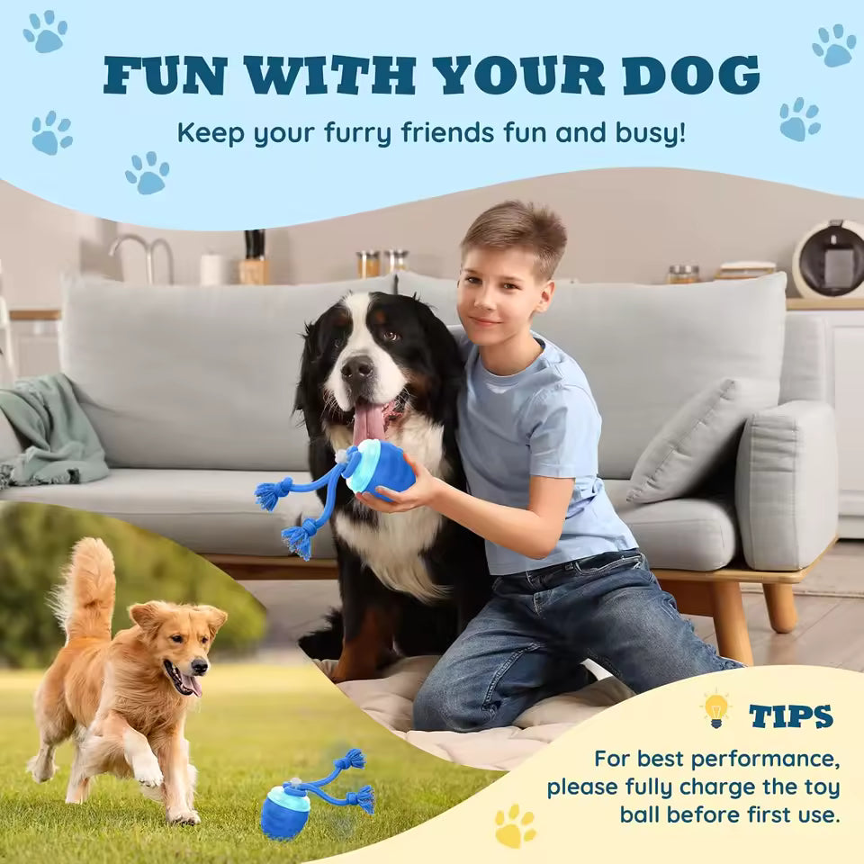 Automatic Toy Ball for Dogs