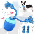 Automatic Toy Ball for Dogs
