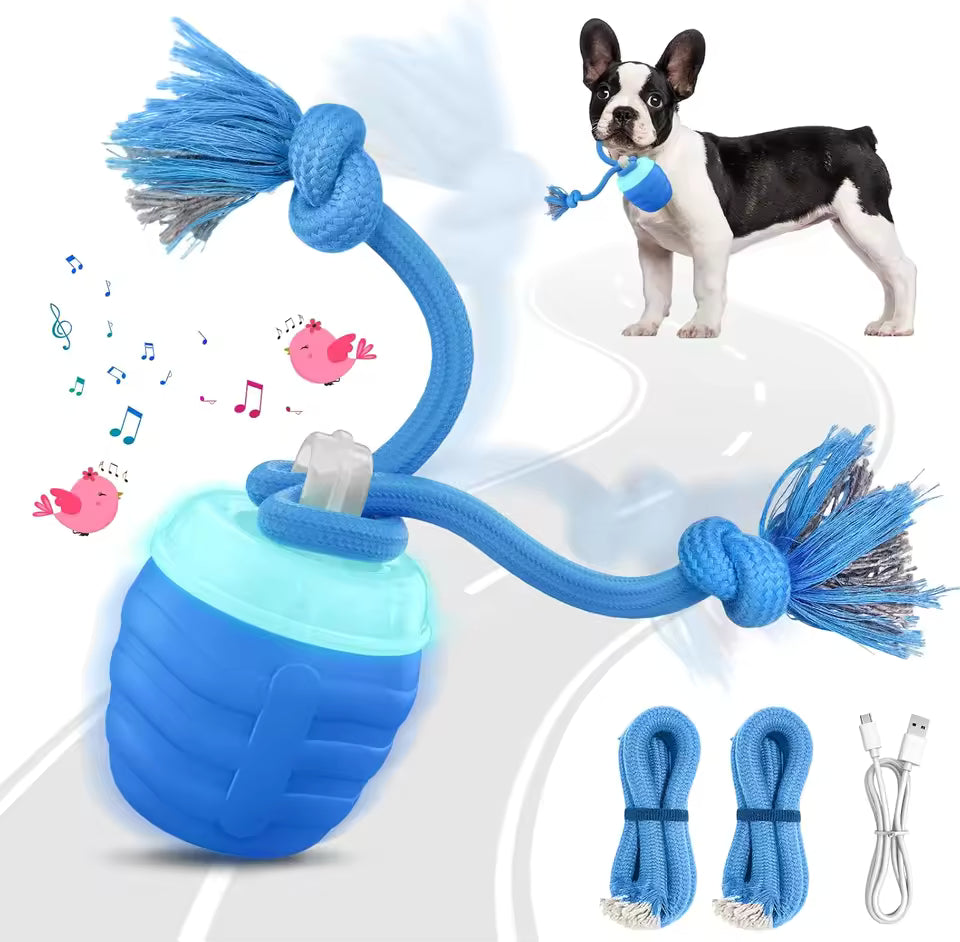 Automatic Toy Ball for Dogs