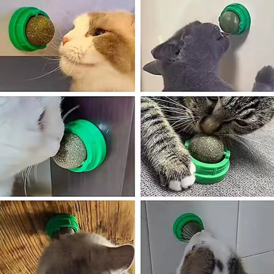 Natural grass balls for cats
