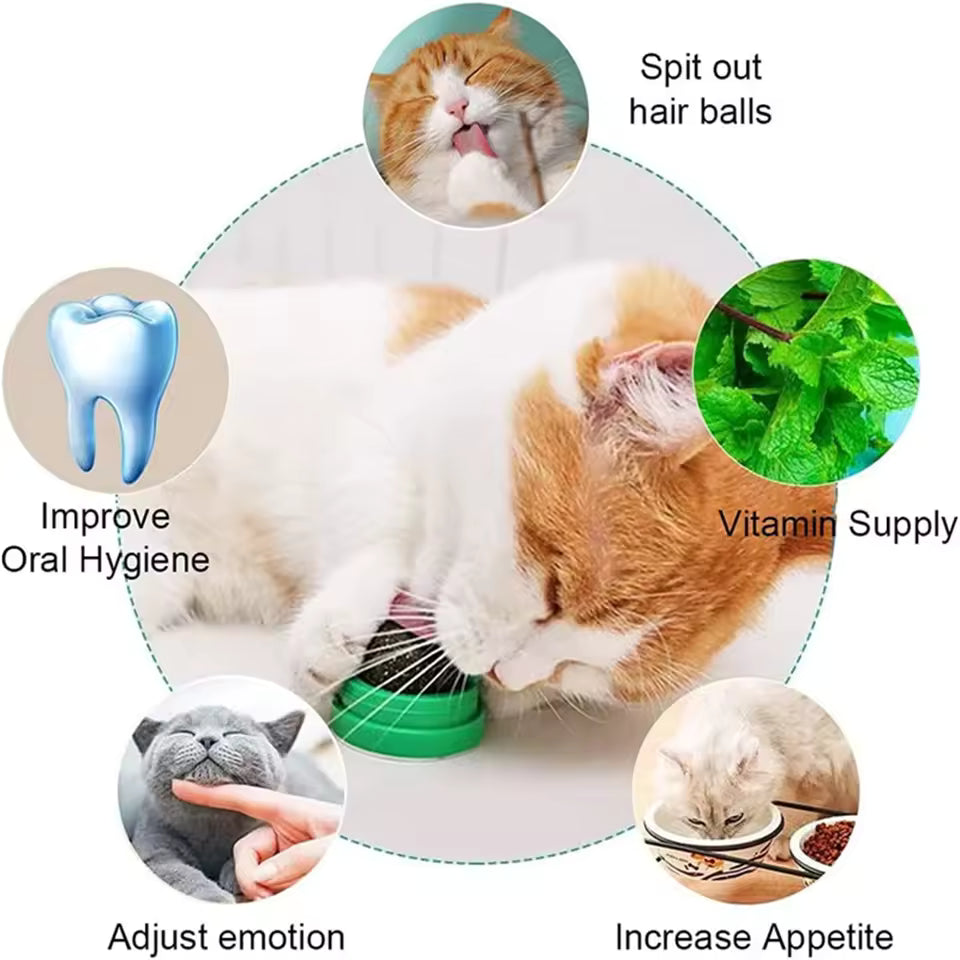 Natural grass balls for cats