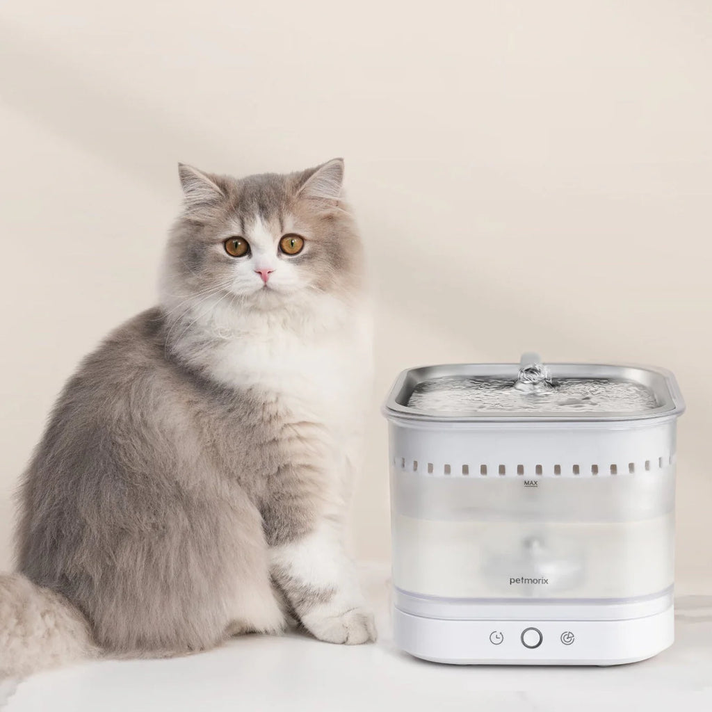 PurePod Pet Water Fountain