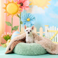 Extra-comfortable pet bed