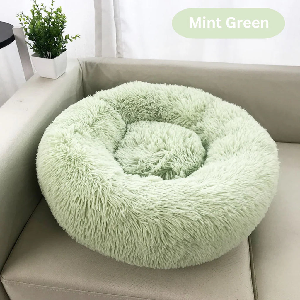 Extra-comfortable pet bed