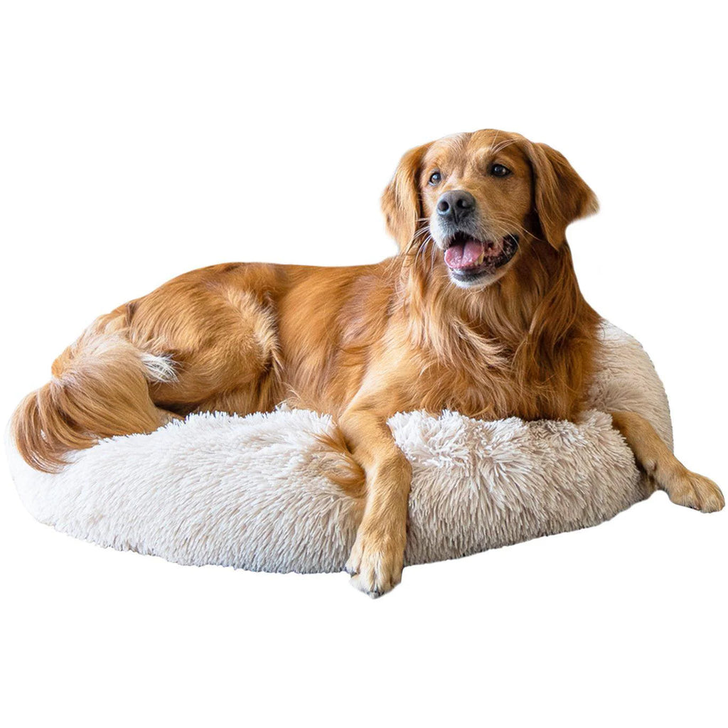 Extra-comfortable pet bed