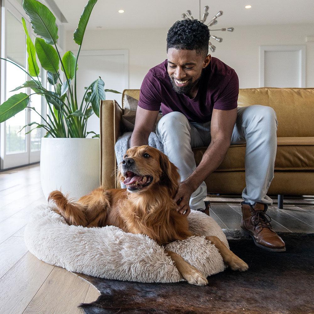 Extra-comfortable pet bed