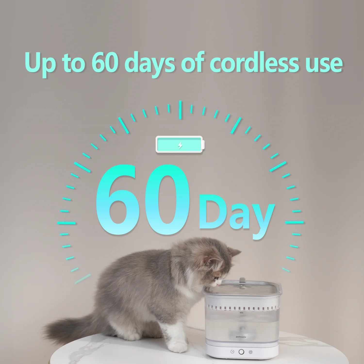 PurePod Pet Water Fountain